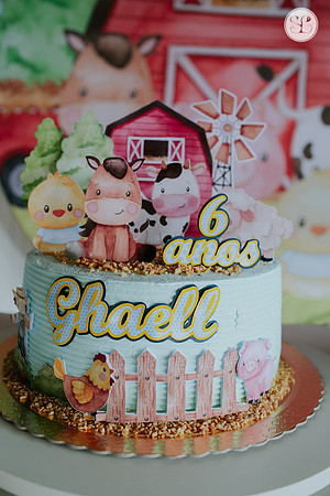 aniversário 6 anos Ghaell-9