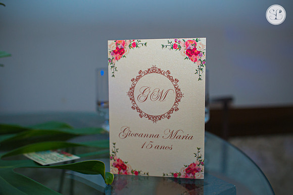 Aniversário 15 anos Giovanna-17