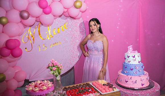 Aniversário 15 anos Milene-14