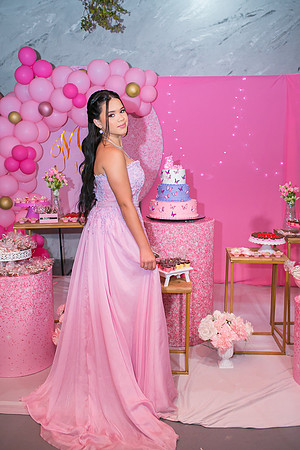 Aniversário 15 anos Milene-8
