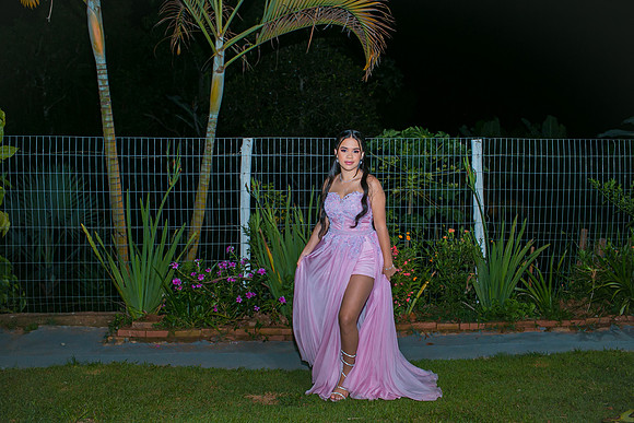 Aniversário 15 anos Milene-24