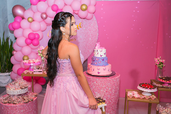 Aniversário 15 anos Milene-10