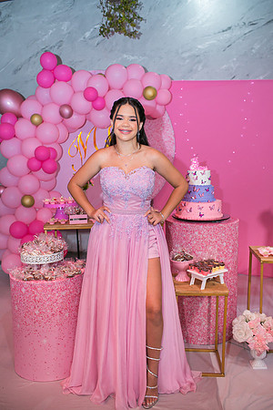 Aniversário 15 anos Milene-5