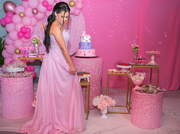Aniversário 15 anos Milene-9