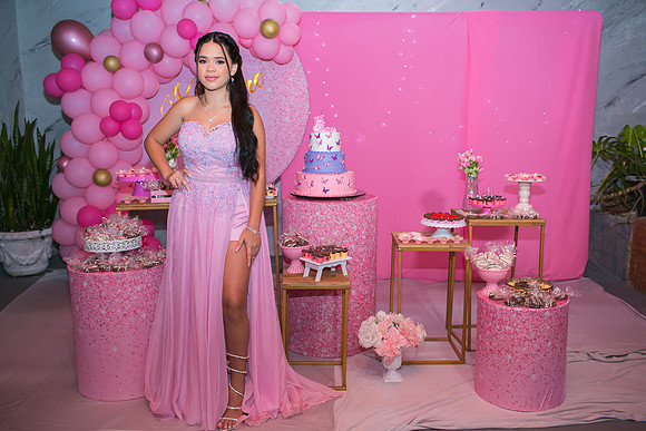 Aniversário 15 anos Milene-1