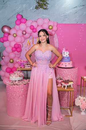 Aniversário 15 anos Milene-4