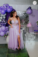 Aniversário 15 anos Lavinnia-32
