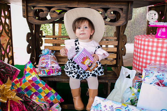 Aniversário 1 ano Evelyn-47