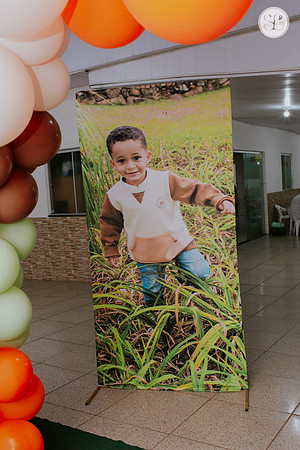 Aniversário 3 anos Bernardo-5