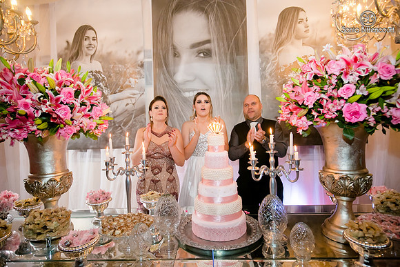 Aniversário 15 anos Iara-428