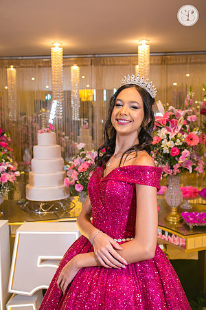Aniversário 15 anos Giovanna-54