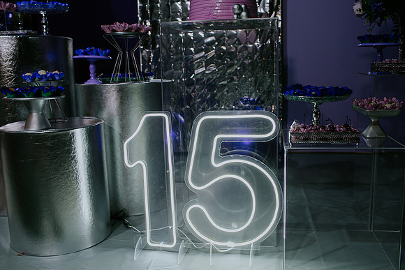 Aniversário 15 anos Lavinnia-16