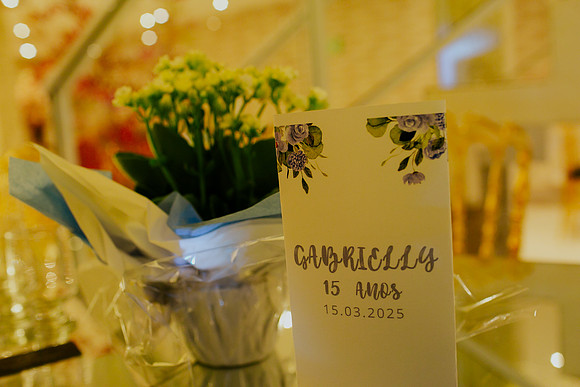 Aniversário 15 anos Gabrielly-23
