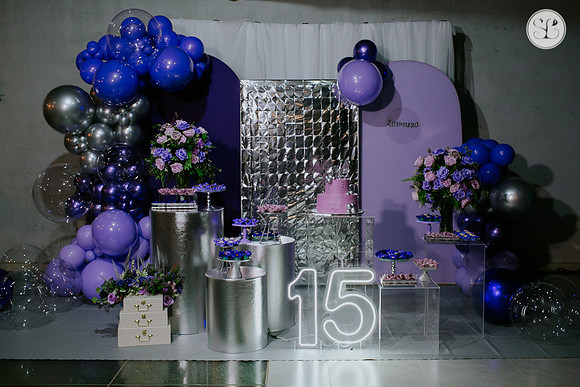 Aniversário 15 anos Lavinnia-1