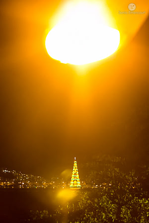 Árvore de natal da Lagoa - 2014-33