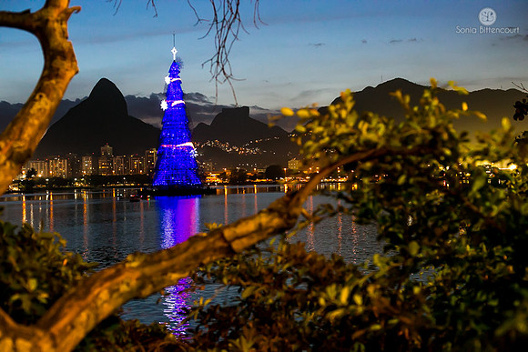 Árvore de natal da Lagoa - 2014-5