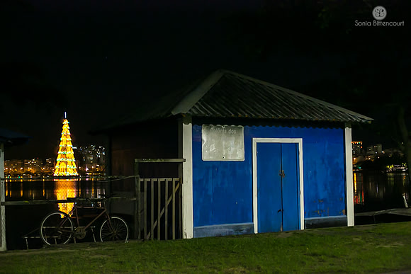 Árvore de natal da Lagoa - 2014-29