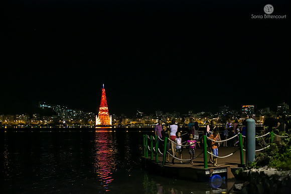 Árvore de natal da Lagoa - 2014-32