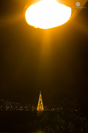 Árvore de natal da Lagoa - 2014-34