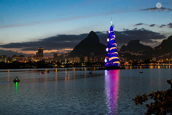 Árvore de natal da Lagoa - 2014-3