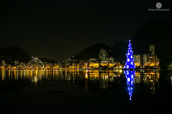 Árvore de natal da Lagoa - 2014-23