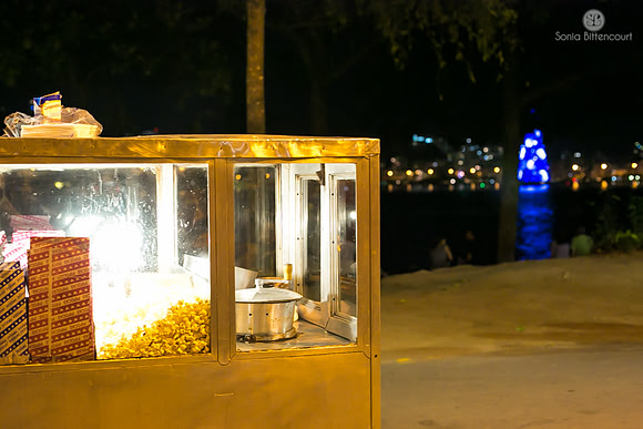 Árvore de natal da Lagoa - 2014-35