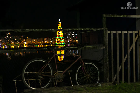 Árvore de natal da Lagoa - 2014-28