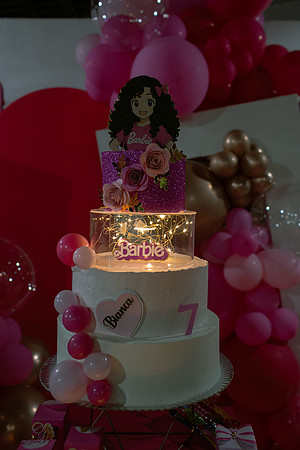 Aniversário 7 anos Bianca-22