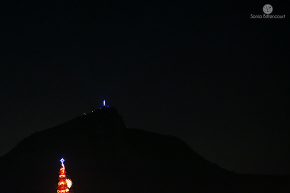 Árvore de natal da Lagoa - 2014-22