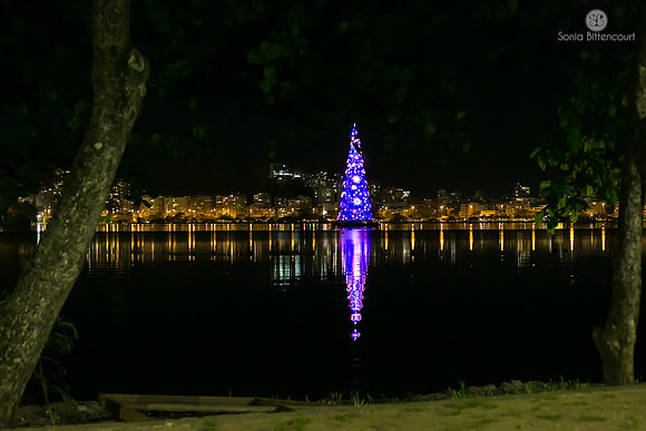 Árvore de natal da Lagoa - 2014-30