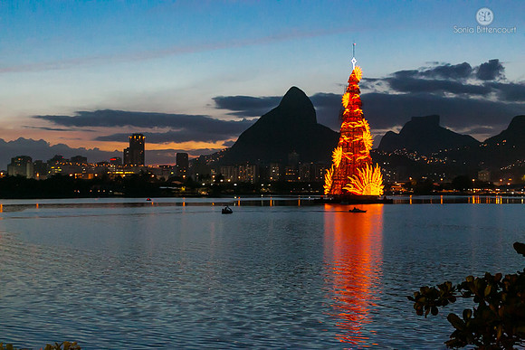 Árvore de natal da Lagoa - 2014-1